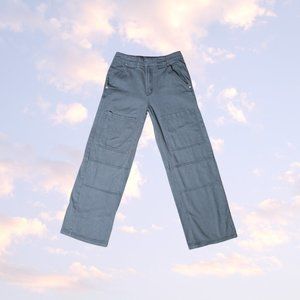 BDG Stoney Blue Denim Cargos